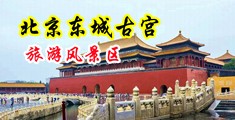 美女操BB在线观看中国北京-东城古宫旅游风景区